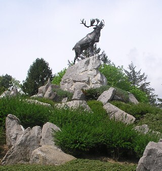 P1010166.JPG